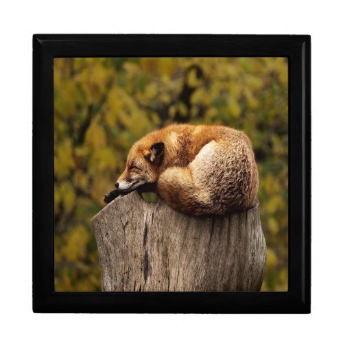 Sleeping fox photo gift box