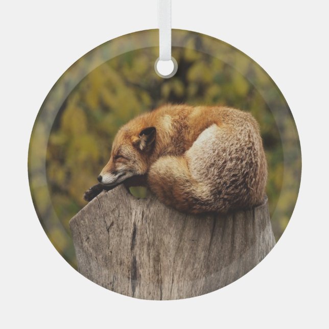 Sleeping fox photo glass ornament (Front)