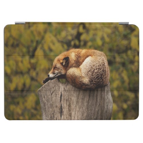 Sleeping fox photo iPad air cover