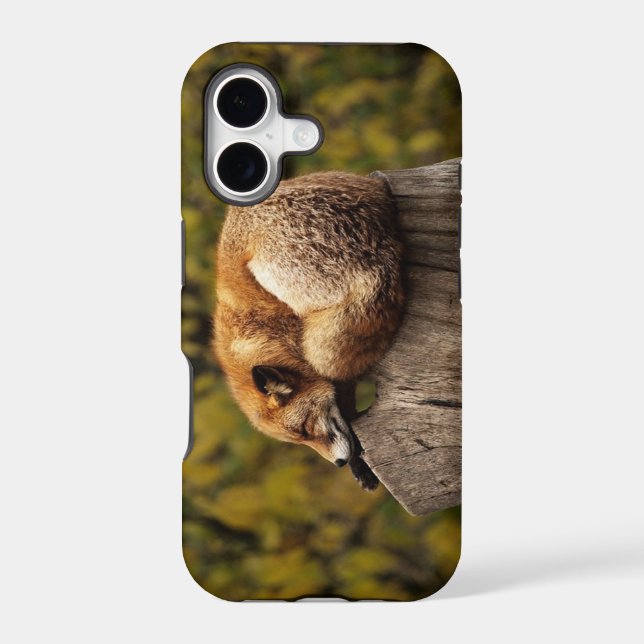 Sleeping fox photo iphone case (Back)