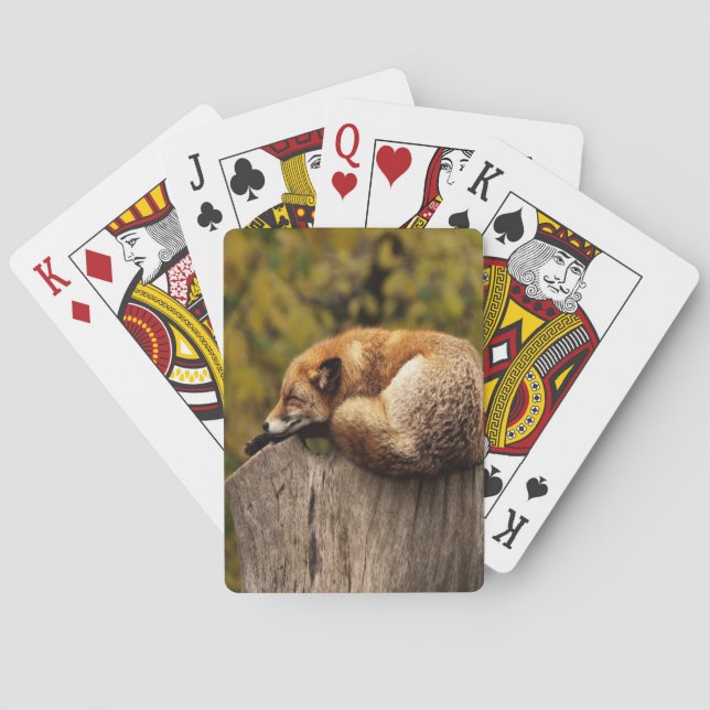 Sleeping fox photo poker cards (Back)