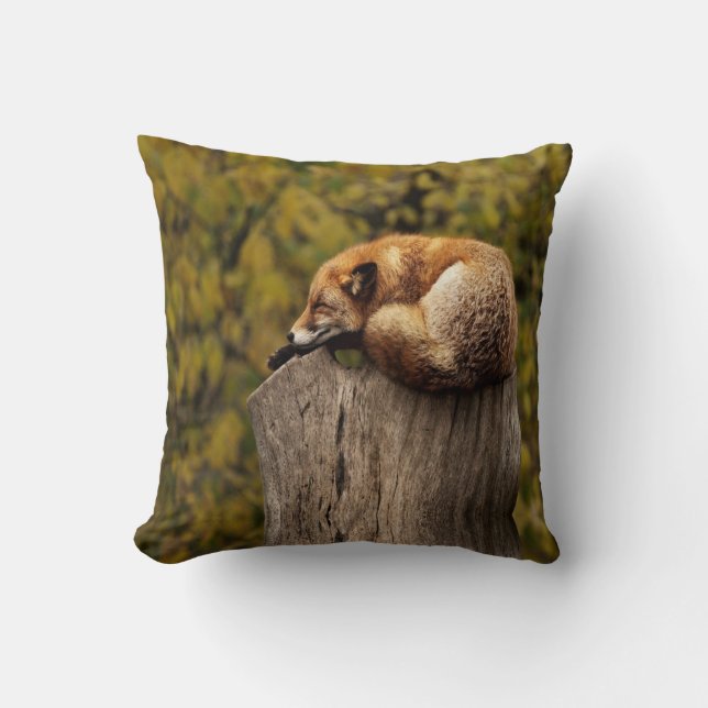 Sleeping fox photo throw pillow (Front)