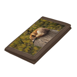 Sleeping fox photo trifold wallet