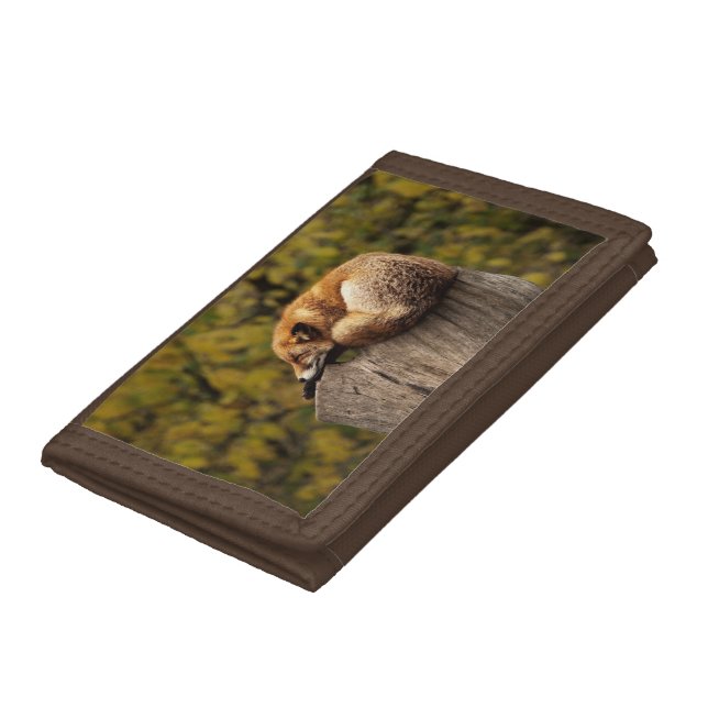Sleeping fox photo trifold wallet (Bottom)