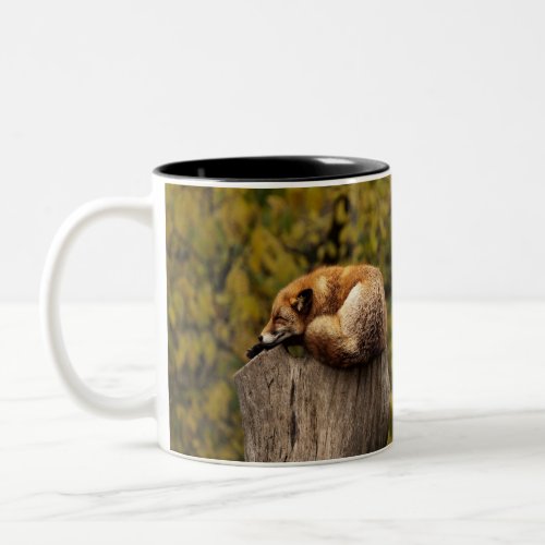 sleeping fox photo Two_Tone coffee mug