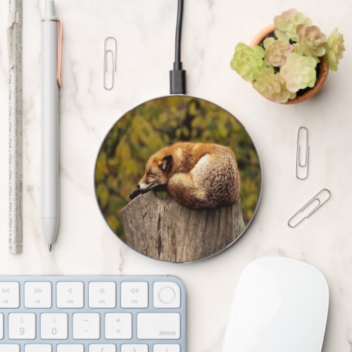 Sleeping fox photo wireless charger 