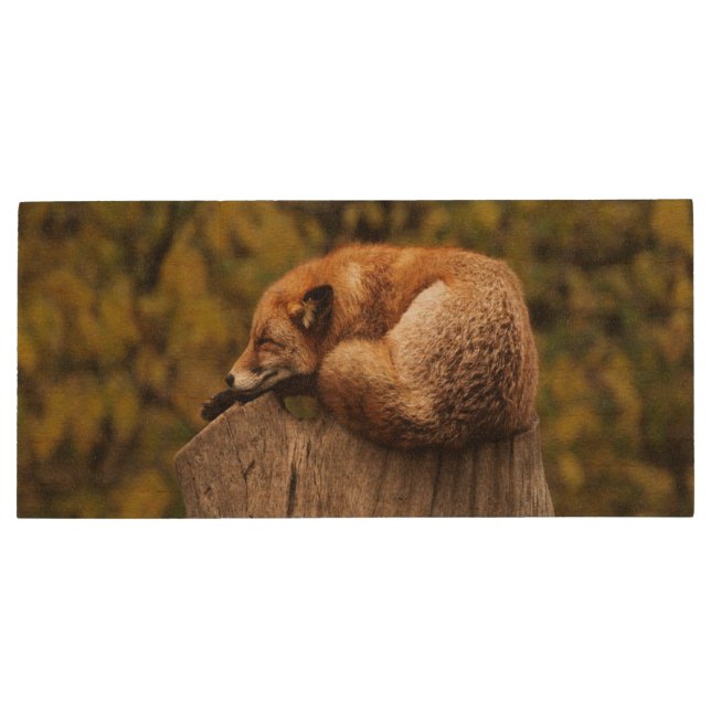 Sleeping fox photo wood flash drive (Back)