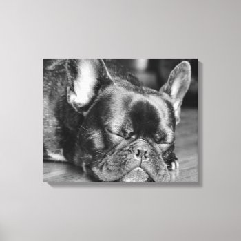 Sleeping French Bulldog Canvas Print by artinphotography at Zazzle