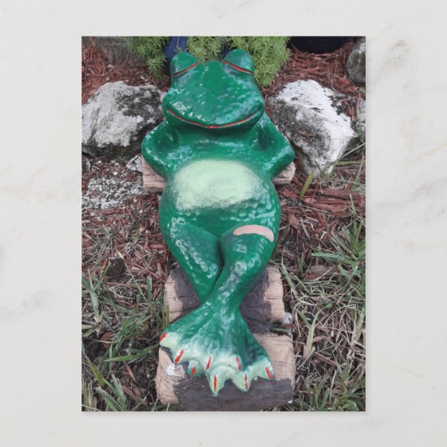 Sleeping Frog Just Chilling How about You Postcard (Front)
