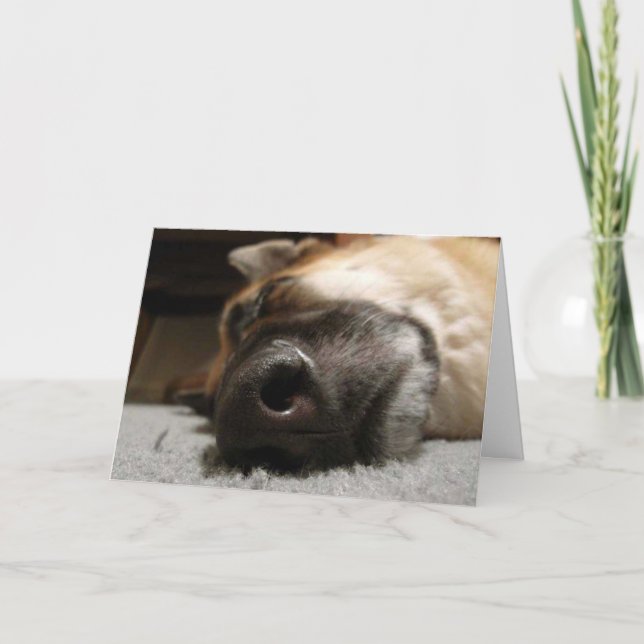 Sleeping German Shepherd Birthday Card (Front)