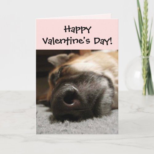 Sleeping German Shepherd Valentines Day Card