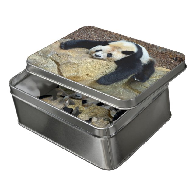 Sleeping giant panda slumped on a rock jigsaw puzz puzzle (Lid Open)
