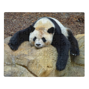 Sleeping giant panda slumped on a rock jigsaw puzzle