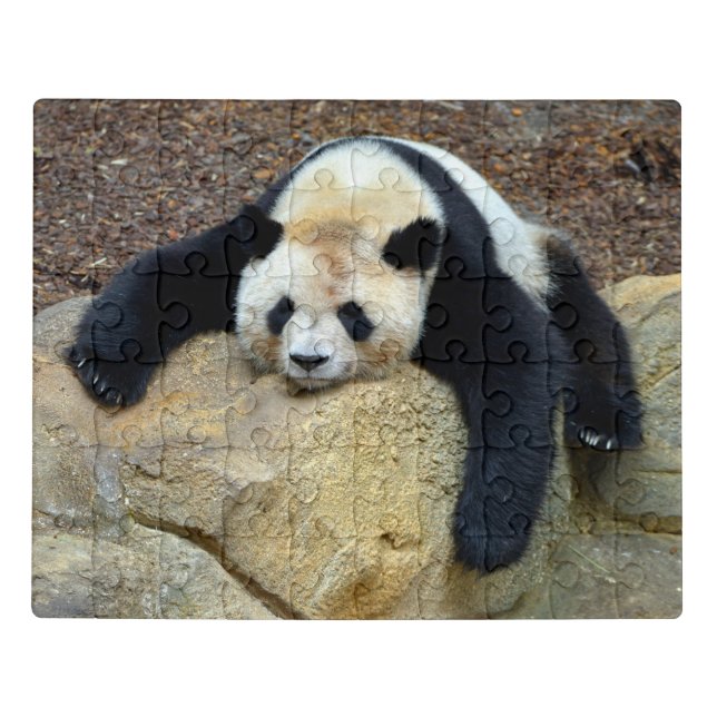 Sleeping giant panda slumped on a rock jigsaw puzzle (Puzzle Horizontal)