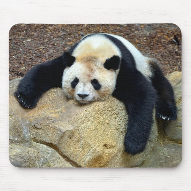 Sleeping giant panda slumped on a rock mouse pad (Front)