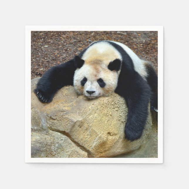 Sleeping giant panda slumped on a rock napkins (Front)
