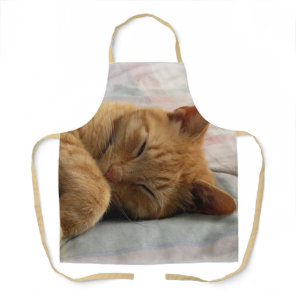 Sleeping Ginger Cat Apron