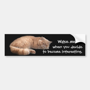 Sleeping Ginger Cat Funny Wake Me Quote Bumper Sticker