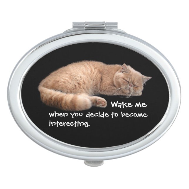 Sleeping Ginger Cat Funny Wake Me Quote Compact Mirror (Front)