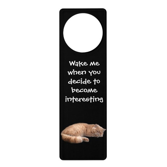 Sleeping Ginger Cat Funny Wake Me Quote Door Hanger (Front)