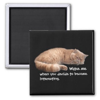 Sleeping Ginger Cat Funny Wake Me Quote Magnet by DippyDoodle at Zazzle