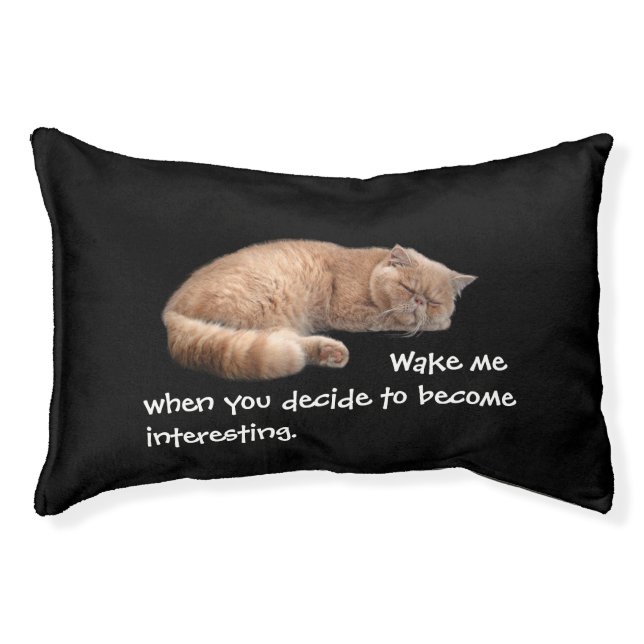 Sleeping Ginger Cat Funny Wake Me Quote Pet Bed (Front)