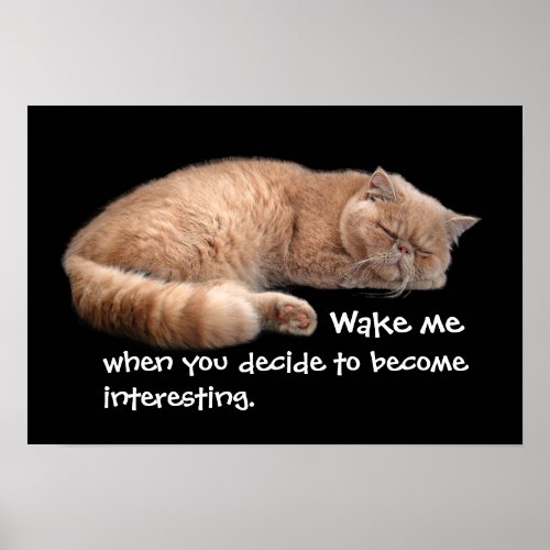 Sleeping Ginger Cat Funny Wake Me Quote Poster
