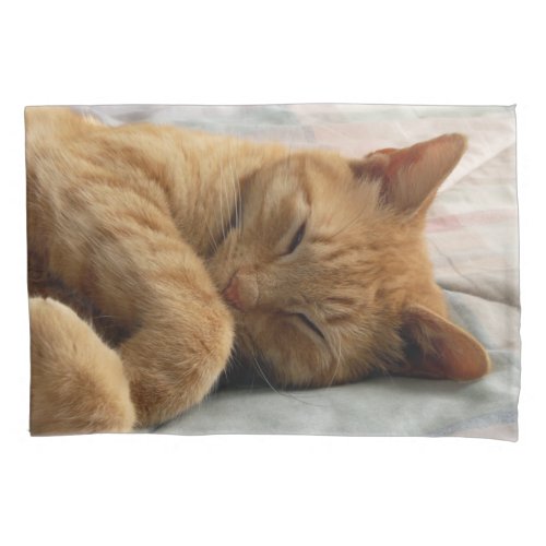 Sleeping Ginger cat Pillow Case