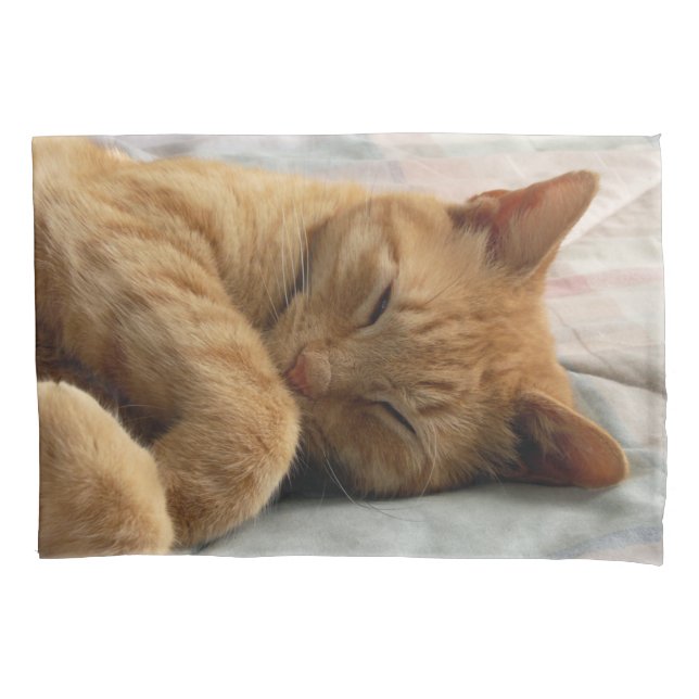 Sleeping Ginger cat Pillow Case (Front)