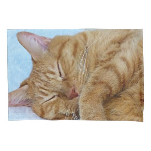 Sleeping Ginger Cat Pillow Case
