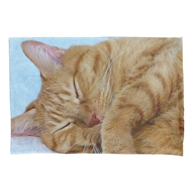 Sleeping Ginger Cat Pillow Case (Front)