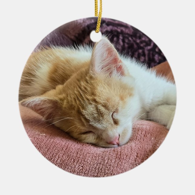 Sleeping ginger kitten ceramic ornament (Front)