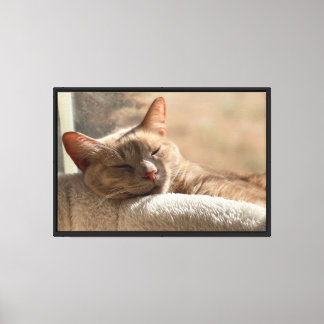 Sleeping Ginger Tabby Cat Peaceful Cat Art Canvas Print