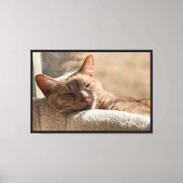 Sleeping Ginger Tabby Cat Peaceful Cat Art Canvas Print (Front)