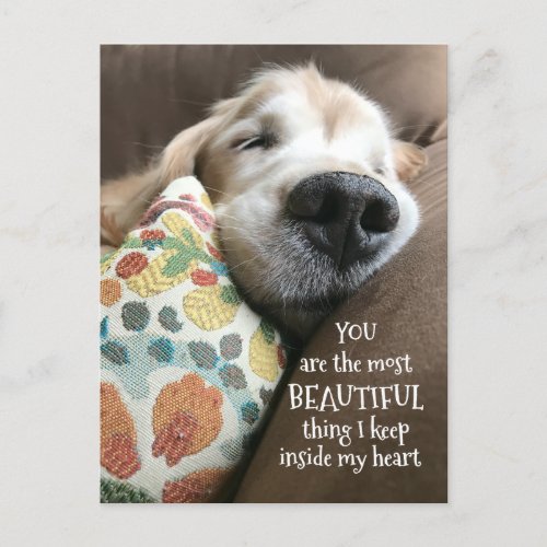 Sleeping Golden Retriever Beautiful Thing Love Postcard