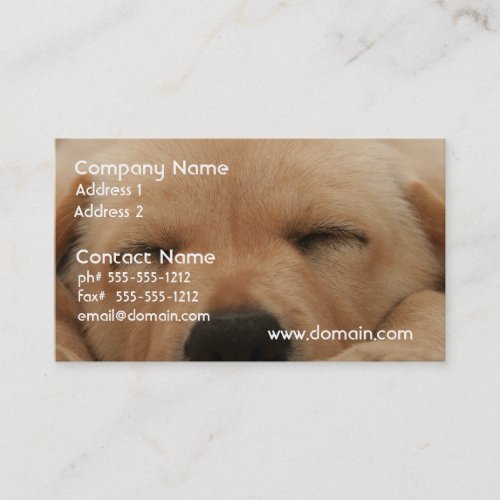 Sleeping Golden Retriever  Business Card