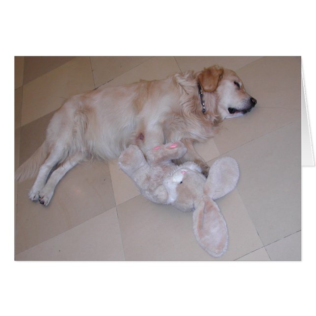 Sleeping Golden Retriever Cards (Front Horizontal)