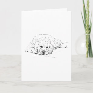 Sleeping Golden Retriever, Dog Drawing  Card