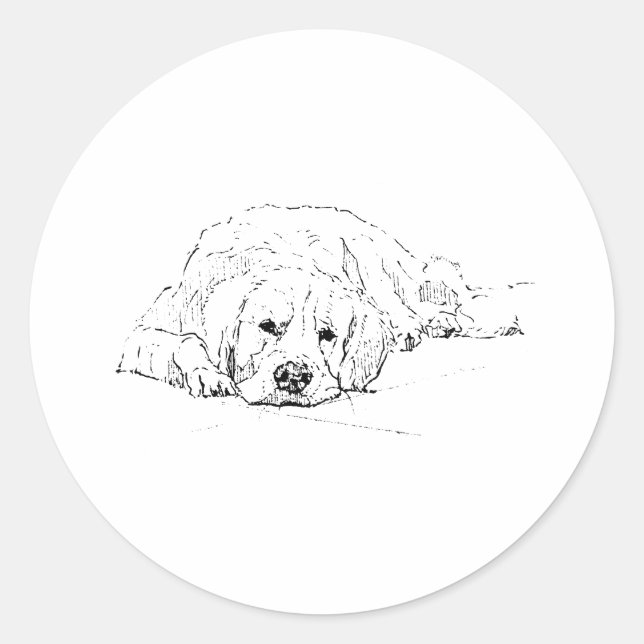 Sleeping Golden Retriever, Dog Drawing  Classic Round Sticker (Front)