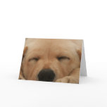Sleeping Golden Retriever Greeting Card