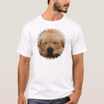 Sleeping Golden Retriever Men's T-Shirt