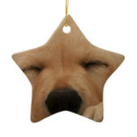 Sleeping Golden Retriever Ornament