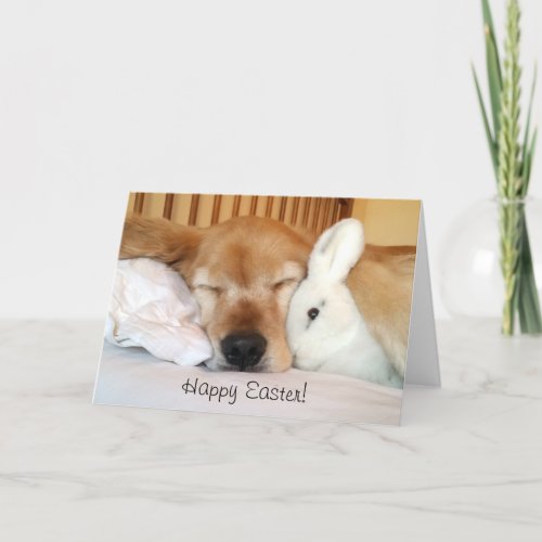 Sleeping Golden Retriever With White Easter Bunny Holiday Card