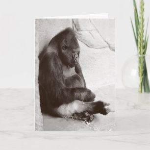 Sleeping Gorilla Photograph Card