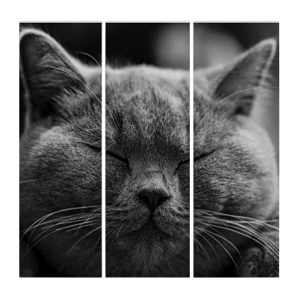 Sleeping Gray Cat Acrylic Triptych Wall Art