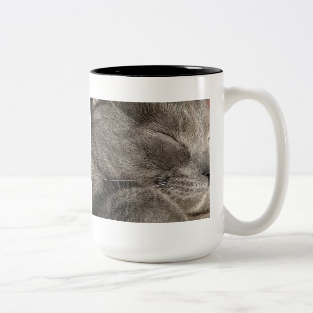 Sleeping grey cat mug (Right)