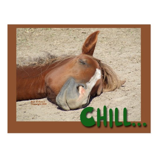 Sleeping Horse Smile: Chill Postcard