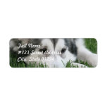 Sleeping Husky Dog Mailing Label
