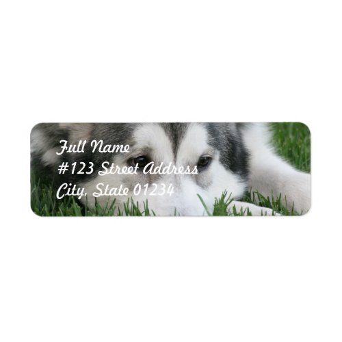Sleeping Husky Dog Mailing Label