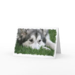Sleeping Husky Greeting Card
